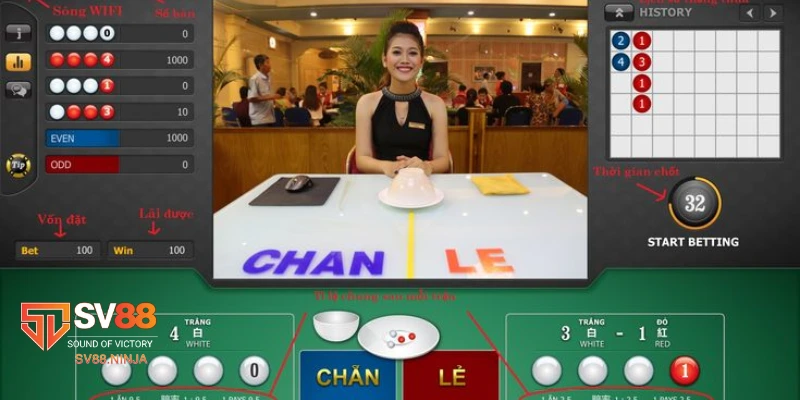 Các loại cược phổ biến trong Xóc Đĩa live